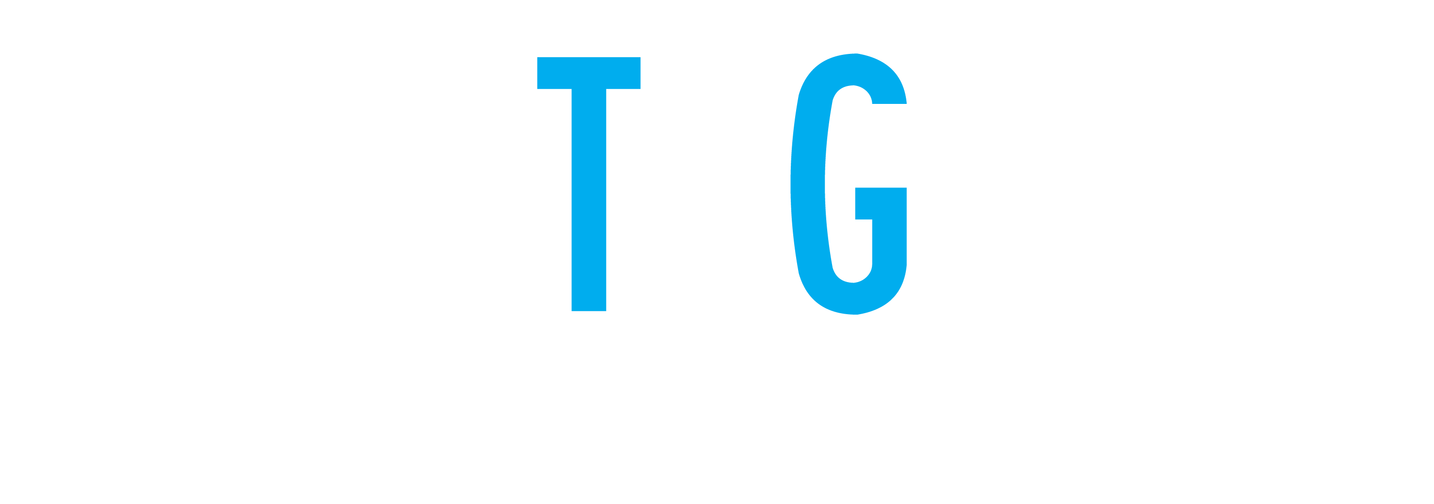 The Tower Ridge Group, LLC: Legal Nurse Consulting